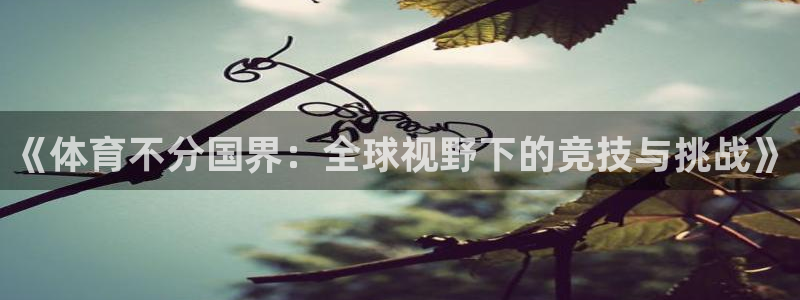 《体育不分国界：全球视野下的竞技与挑战》