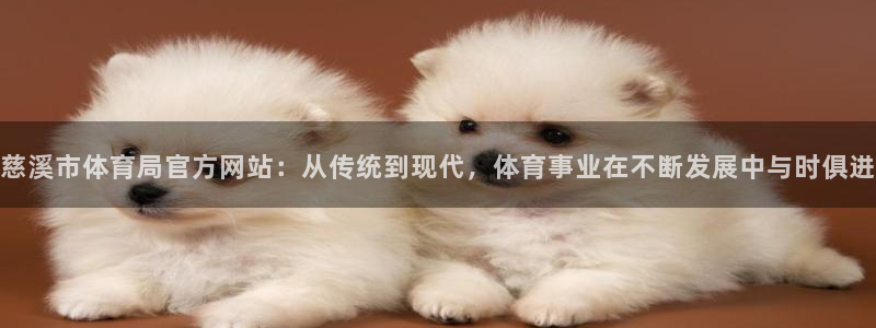 慈溪市体育局官方网站：从传统到现代，体育