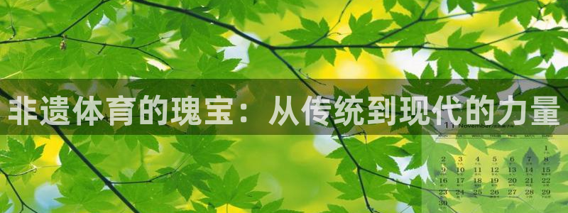 非遗体育的瑰宝：从传统到现代的力量