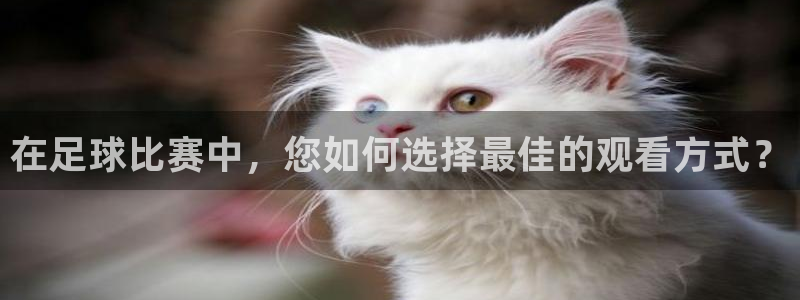 斗球体育直播nba